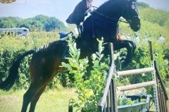 Maddie-Plumb-and-Clooneen-Donnacha