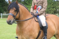 Oliver-Bradshaw-and-Lochlands-Lord-Byron