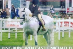 Tess-Lowe-and-King-Bunowen-Castle-Michael-D