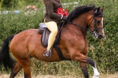 Annie-Thomas-and-Wyken-sweet-sillhouette