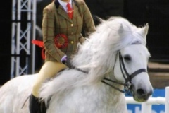 Morgan-mclaughlan-and-Mozart-of-Millfield