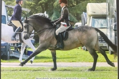 Georgie-Murphy-Holmes-and-Caherlistrane-Eoin