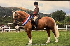 Nansi-Celyn-Evans-Brooks-and-Abbeyvale-Higher-Love