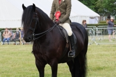 Lincolnshire County Show