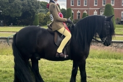 Aimee-Baldwin-and-Waverfoot-Solitaire