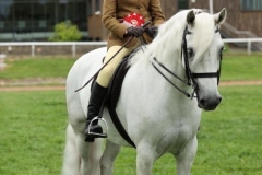 Amira-Curran-and-Caherpuca-Chappy