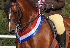 Annie-Thomas-and-Wyken-Sweet-Silhouette