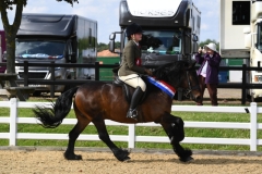 Lucy-Benson-and-Guards-Commodore