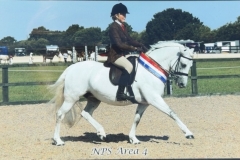 Brea-Birtwell-Horse_Pony-Logmore-blossom