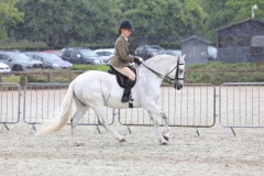 Elicia-Smithers-Horse_Pony-Chilham-Pearly-King