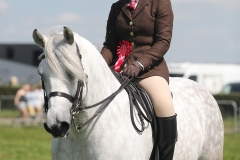 Holly-Smith-Horse_Pony-Kincardine-Uist