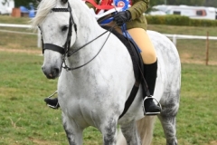 Jessica-ODwyer-Horse_Pony-Eastlands-Braeveheart