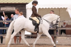 Lola-Carabine-Horse_Pony-Doleen-Carriag-Star