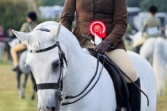 Lucie-Wilson-Horse_Pony-Moyabbey-Blathin