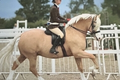 Olivia-Lavander-Andrews-Horse_Pony-Saulire-Thunder-Struck