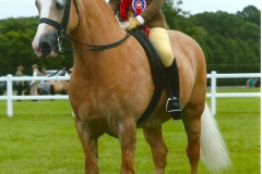 Tori Thomas Soden Gwynfor