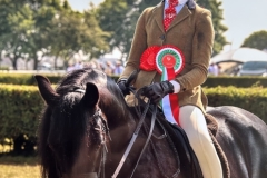 Aimee-Baldwin-Horse_Pony-Waverfoot-Solitaire