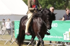 Beatrice-Tavener-Jordan-Horse_Pony-Shilstone-Rocks-Barn-Dance-II