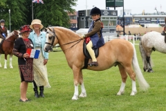 Jemima-Makin-Jones-Horse_Pony-Wernderris-Charlie-Fox