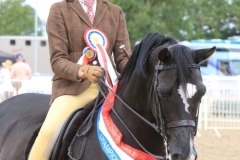 Pearl-Morris-and-Copella-Black-Knight