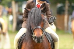 Toby-Johnstone-and-Pumphill-fandango