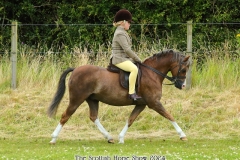 Scarlett-Ellwood-and-Menai-man-of-Troy