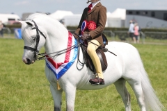 Charlie-lea-Horse_Pony-Crumpwell-Harry-potter