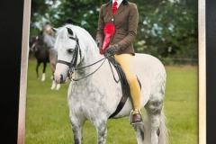 Lilly-Richardson-Horse_Pony-Marsh-Walk-On-By