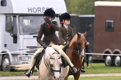 Lily-Kimmins-Horse_Pony-Abercamlais-Major