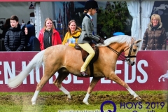 Kate Hewson and Laithehill Flute