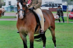 mia-turner-and-Thistledown-Goodnight-Mr-Tom-copy