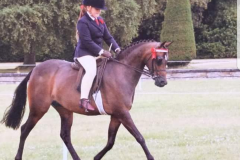 Katie wadley and Flecknoe starlight impression