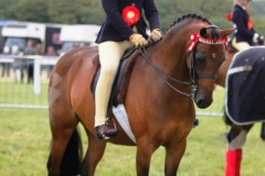 Sandydean Cheeky Vimto and Tori Dymond