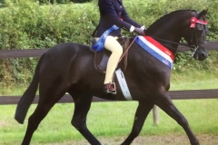 Madison Louise Dalley and Archwood Romeo Gigle