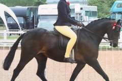 Summer Waldron and Litton Dancing Dawn