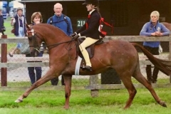 Amber Marnane and Sharlen gone with the wind