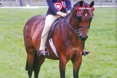 Mount Pleasant Lady in Waiting and Eva Morgan