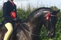 Tabitha Wood and Archwood Romeo Gigle