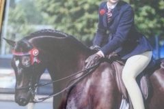 Phoebe Rocks and Greenbarrow Mr. Darcy