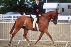 Rotherwood peeping star and Zoe Burton