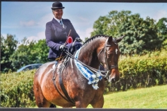 Fiona-Bebb-Evans-and-Ballangaras-Monterrey