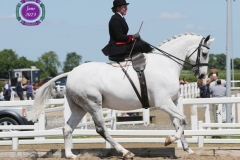 Floriann-Gilston-and-Killea-Silver-Diamond