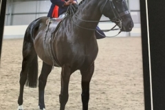 Serena-james-and-Eternal-Evolution