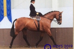 Helen-Cowley-and-Dragons-Den-copy