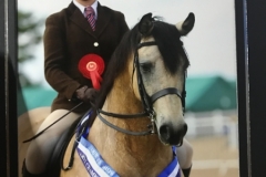 Megan white and Thunderbolt Fairy Robin Bambi copy