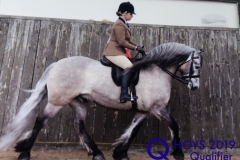 Olivia faulkner and Austin of miltonglen