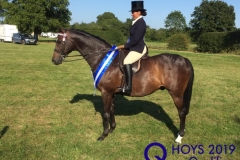 Jade-hawker-and-Willowlands-Renaissance