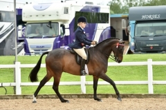 Olivia-Rocks-and-Sir-Control