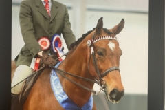 Daniel Williams and Broadshard Simplicity