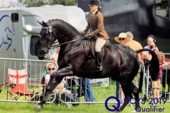 Heather-Rothwell-and-Happy-Valentines